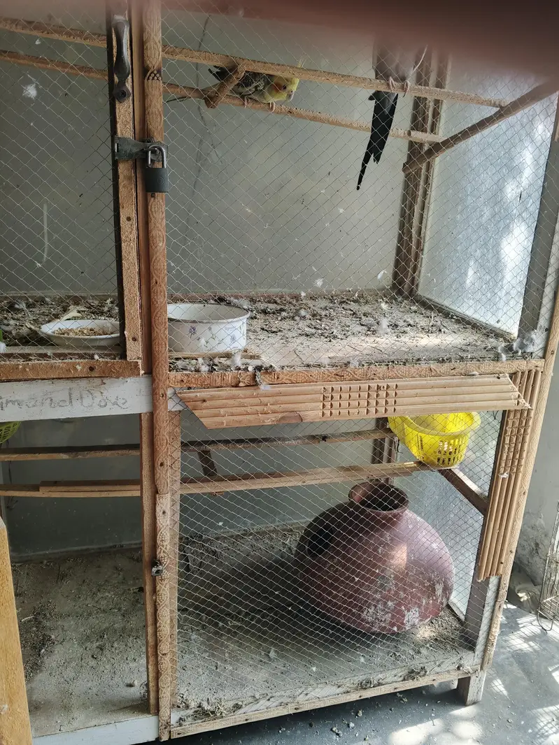 wood bird's cage — photo 6