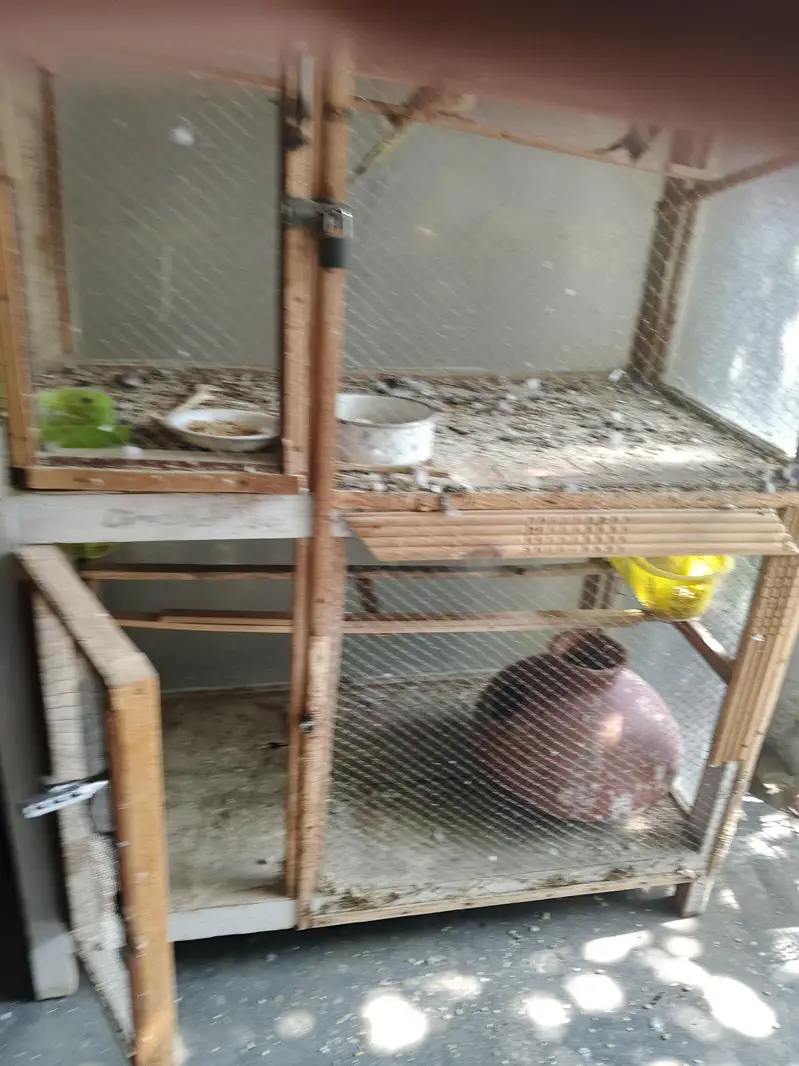 wood bird's cage — photo 7