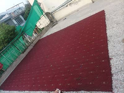 Hall room carpet