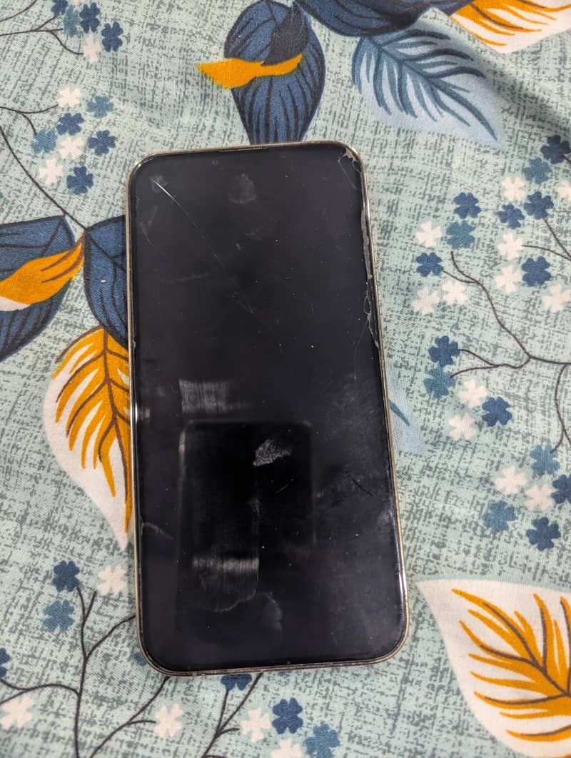 Apple iPhone 13 Pro Max 1