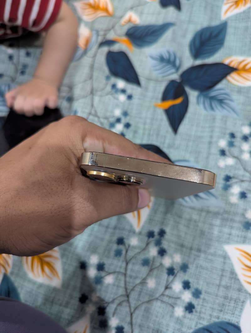 Apple iPhone 13 Pro Max 4