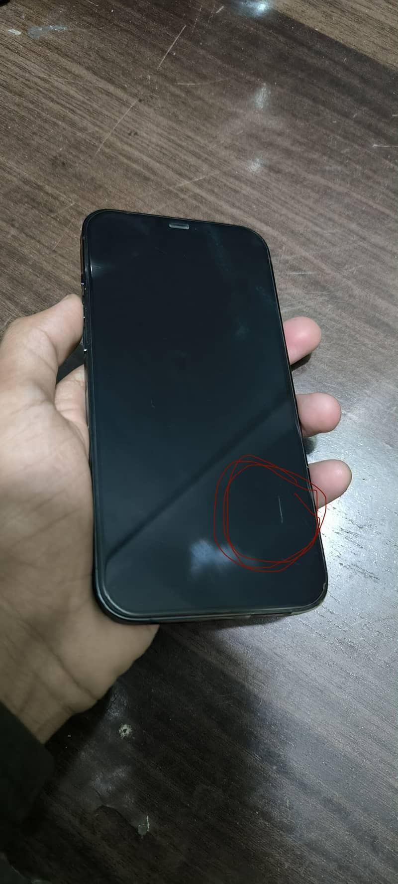 Apple iPhone 12 Pro Max 9
