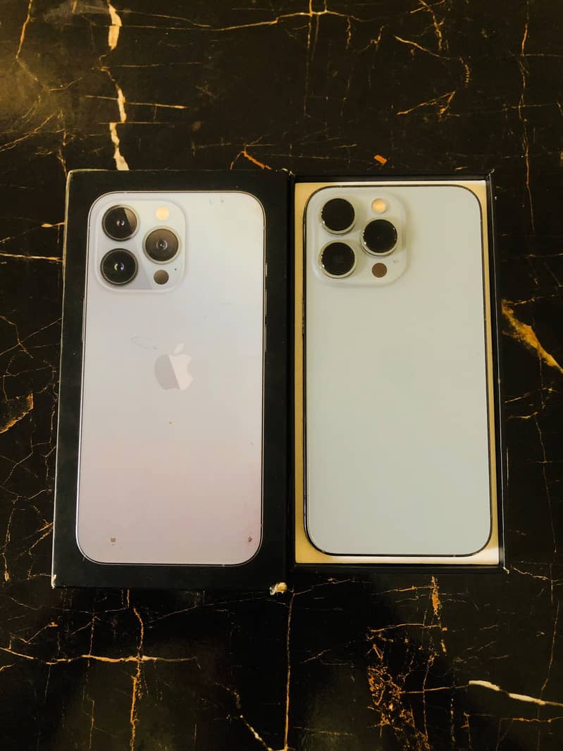 Apple iPhone 13 Pro 12