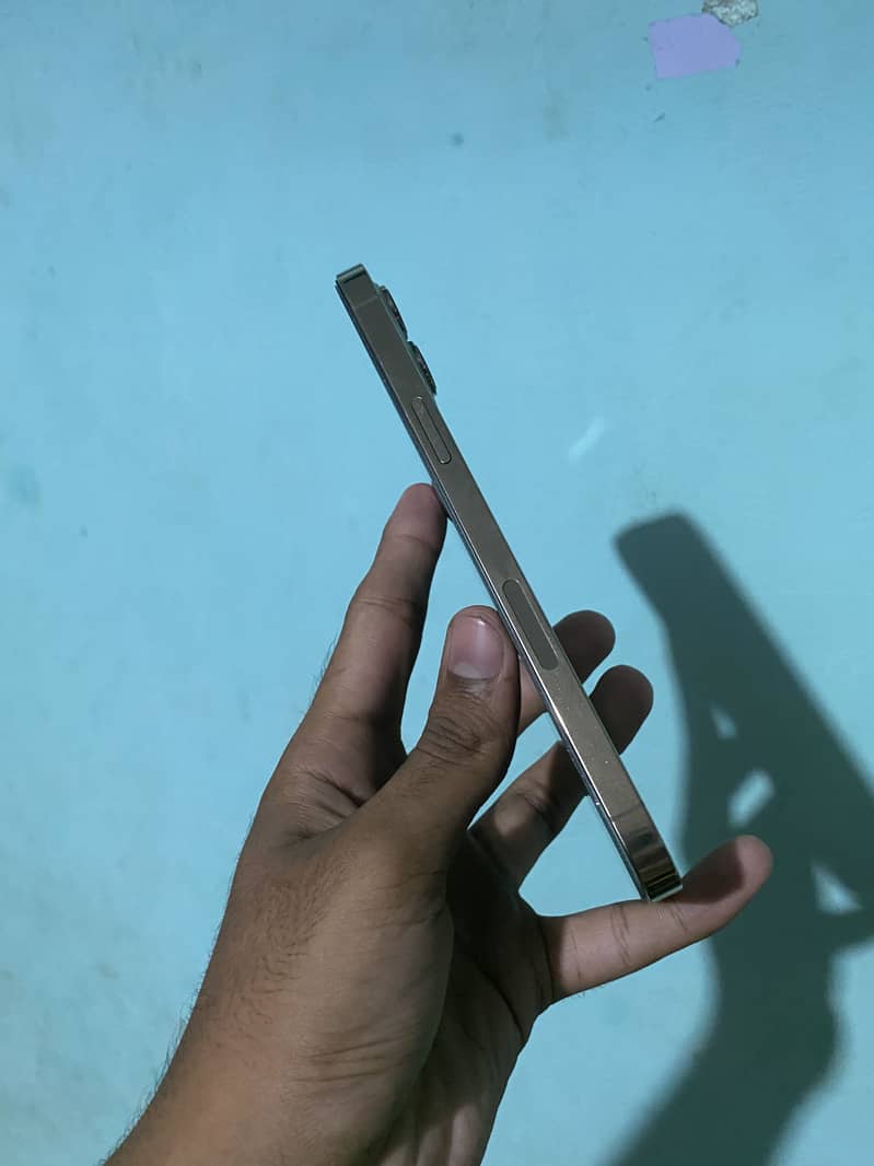 Apple iPhone 12 Pro Max 1