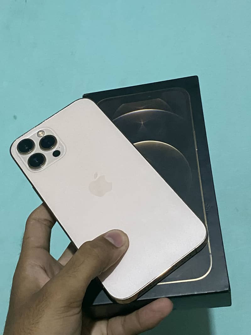 Apple iPhone 12 Pro Max 2
