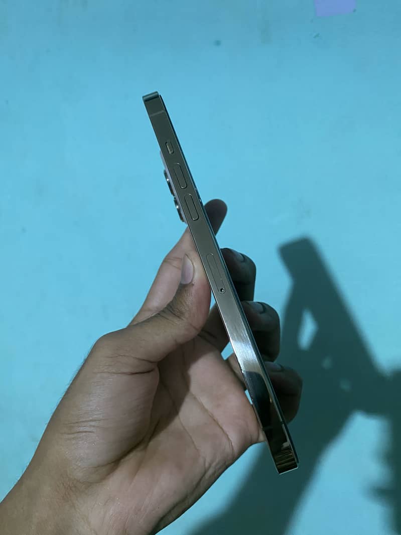 Apple iPhone 12 Pro Max 3