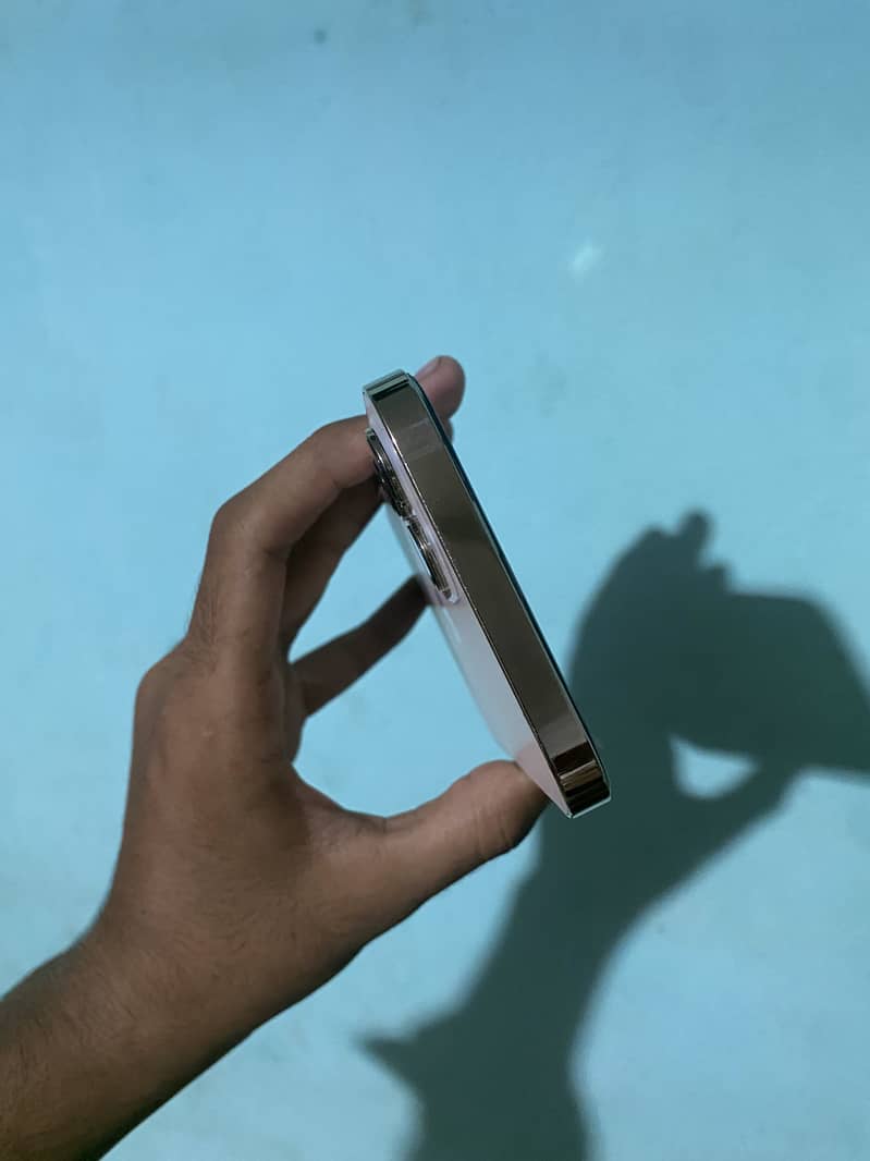 Apple iPhone 12 Pro Max 5