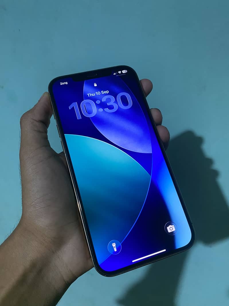 Apple iPhone 12 Pro Max 6