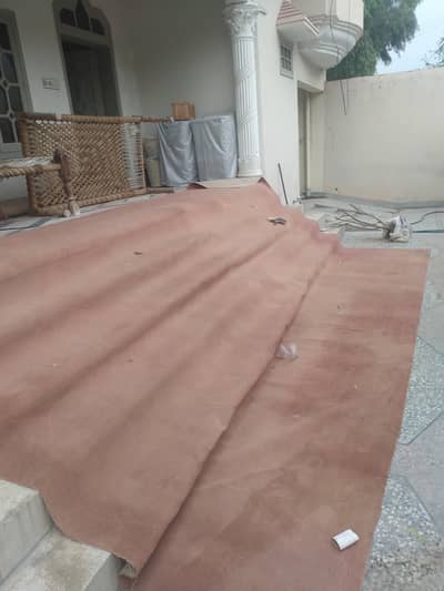 carpet