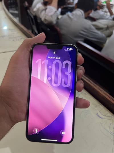 Apple iPhone 13 Pro Max
