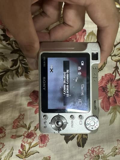 Sony Cyber-shot DSC-W100 (8.1 MP) – Vintage Digicam | 100%