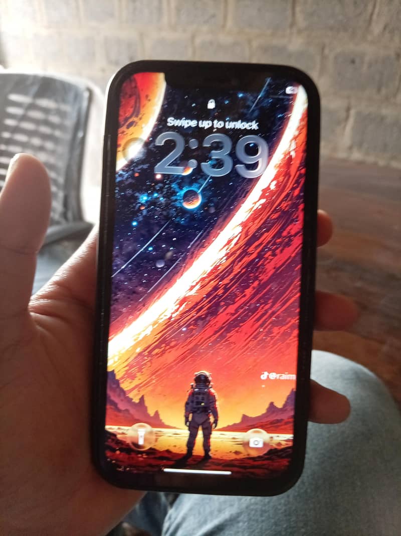 Apple iPhone 12 1