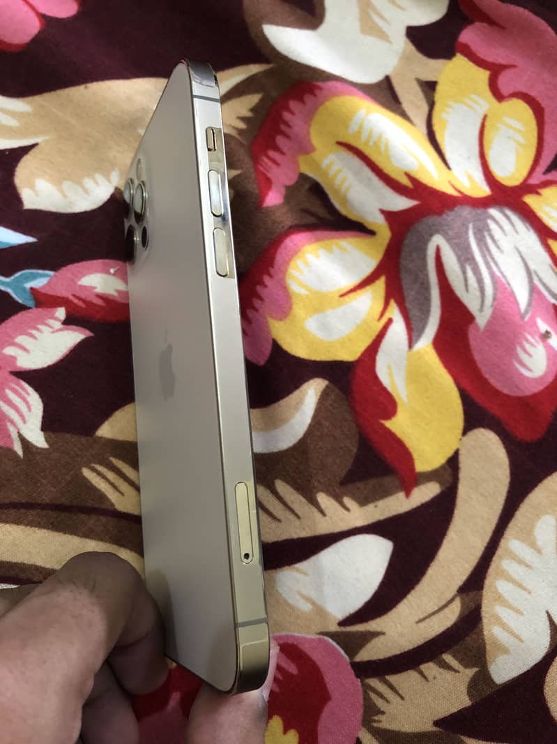 Apple iPhone 12 Pro 1