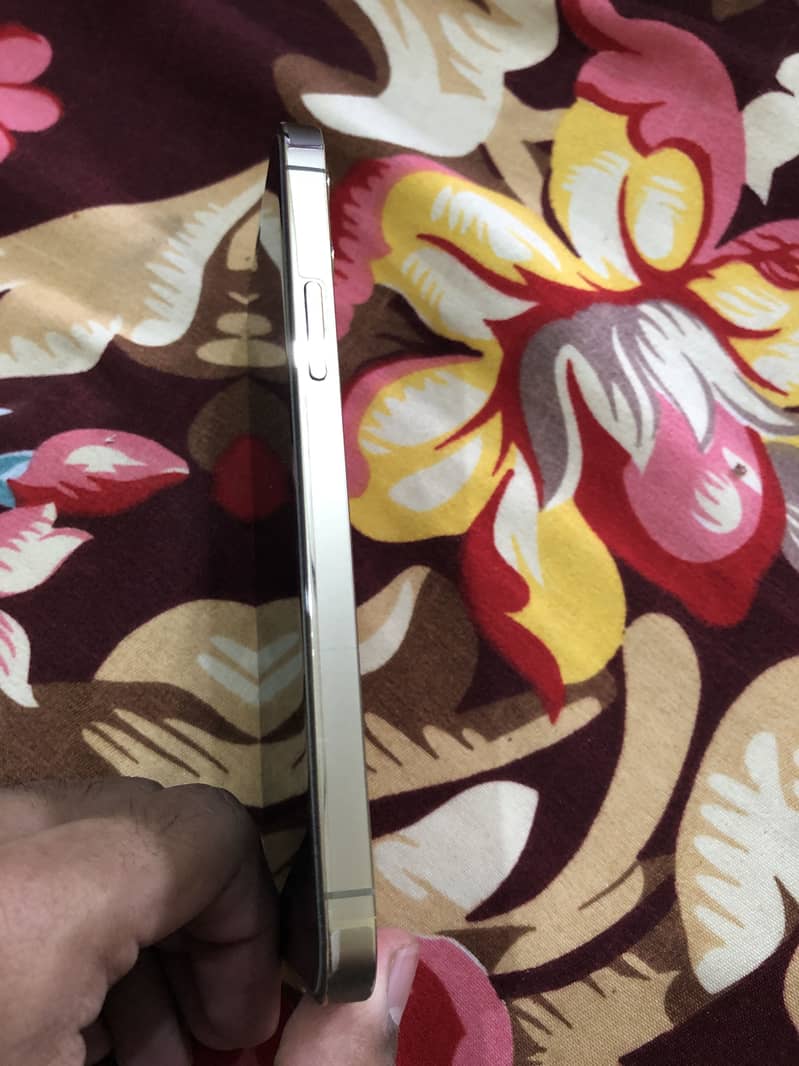 Apple iPhone 12 Pro 3