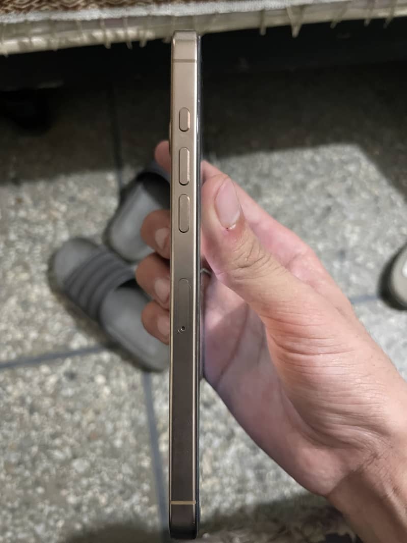 Apple iPhone 16 Pro Max 2
