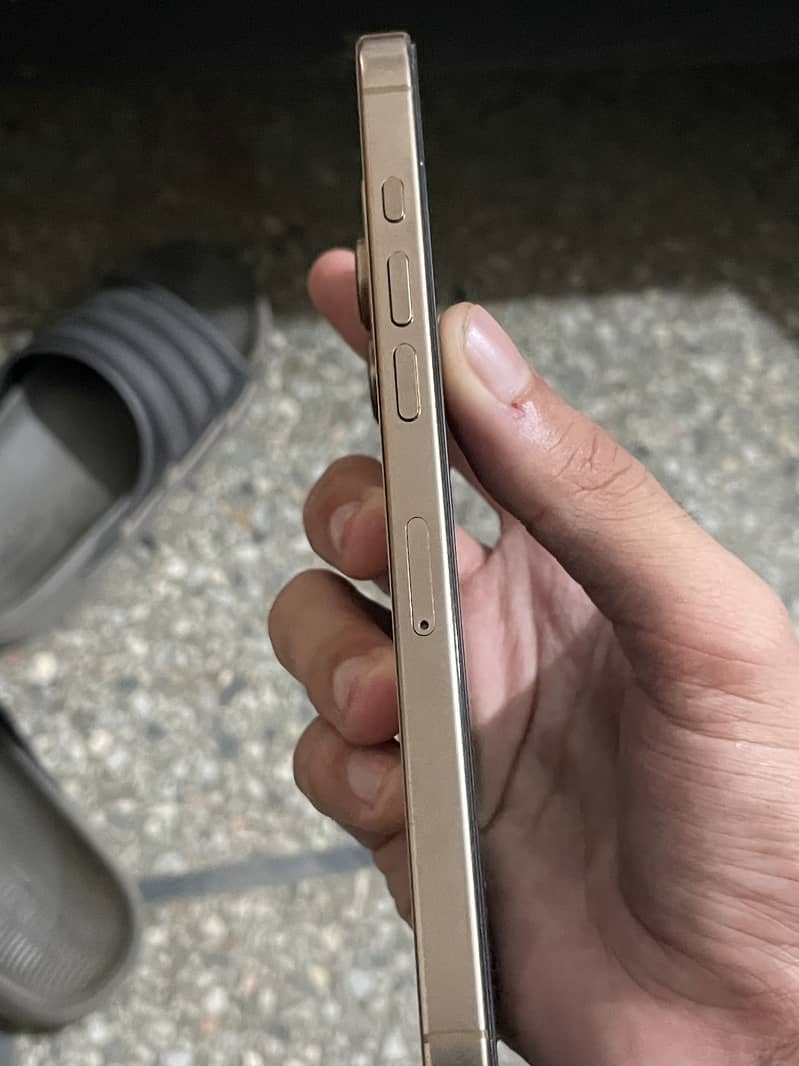 Apple iPhone 16 Pro Max 4