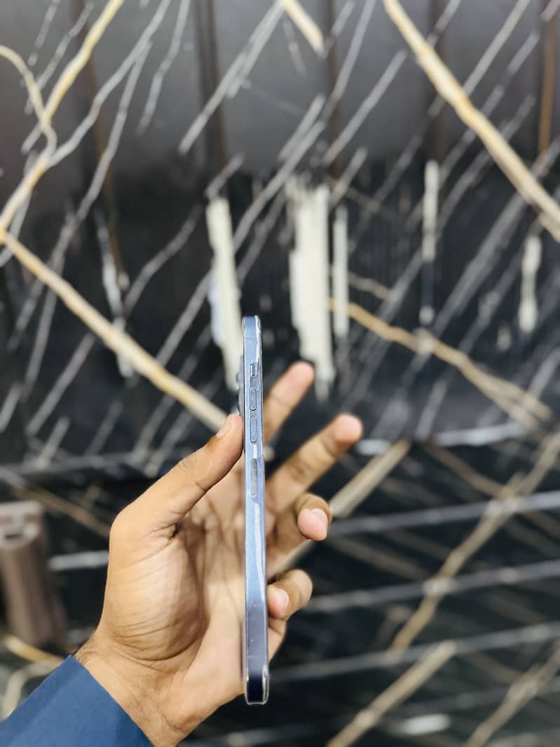 Apple iPhone 13 Pro Max 1
