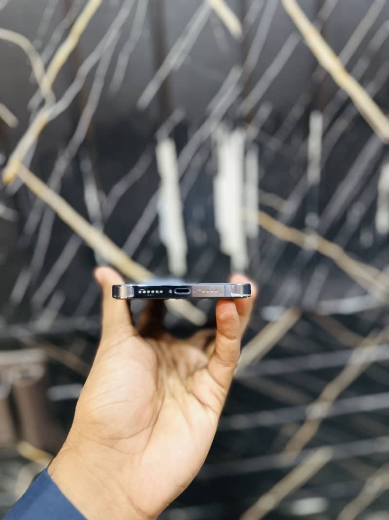 Apple iPhone 13 Pro Max 4