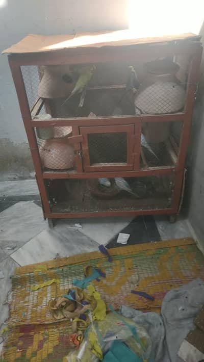 parrot cage hai all ok 1500 ma.