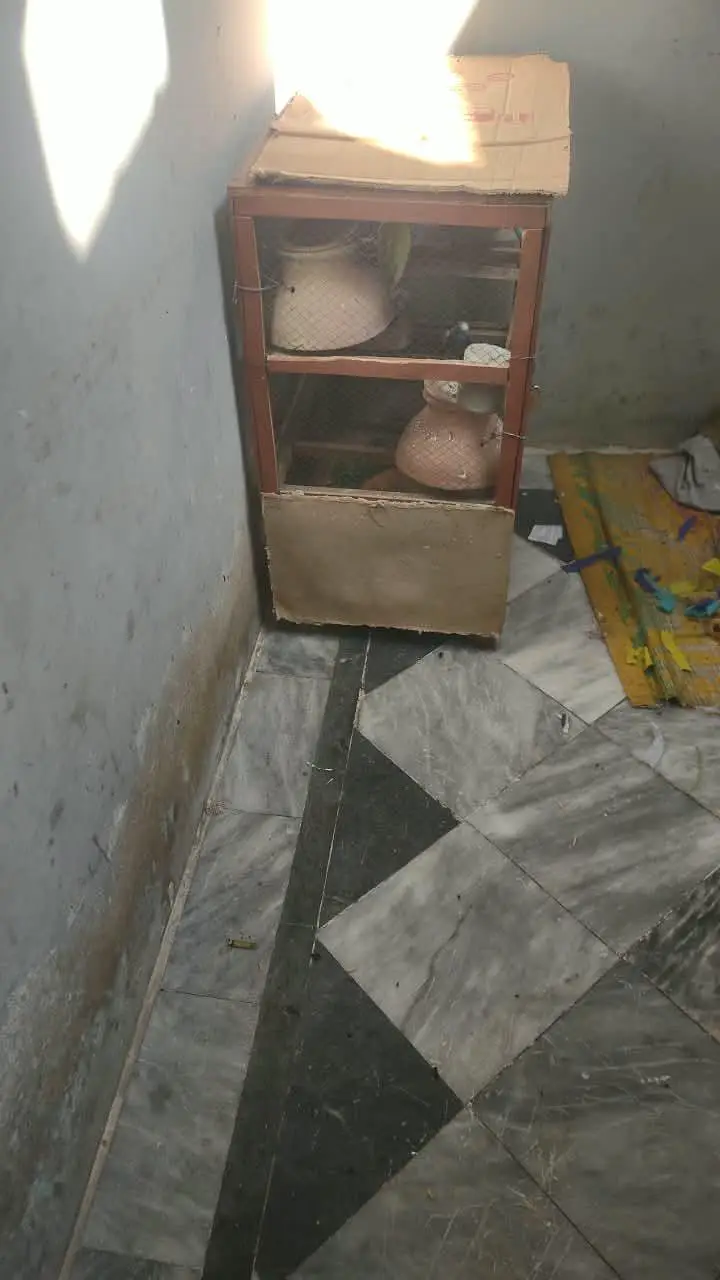 parrot cage hai all ok 1500 ma. — photo 2