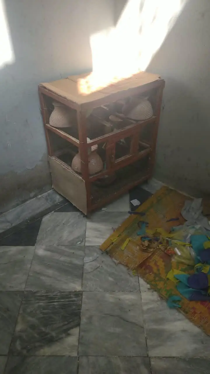 parrot cage hai all ok 1500 ma. — photo 4