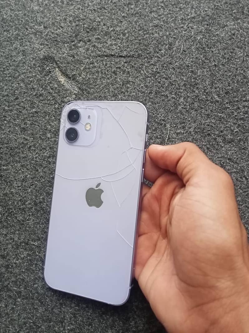 Apple iPhone 12 1