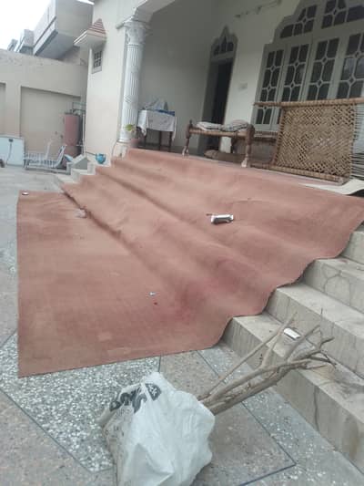 carpet