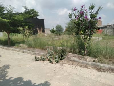 3 Marla Commercial Plot for Sale in Zamar Valley