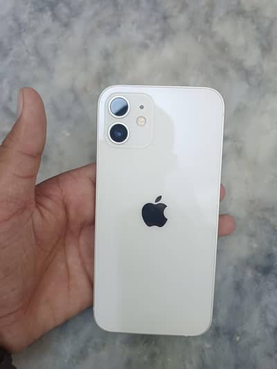 I phone 12