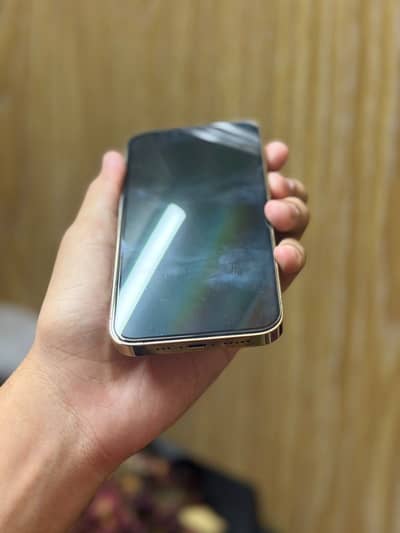 Apple iPhone 13 Pro