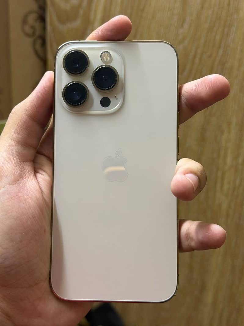 Apple iPhone 13 Pro 2