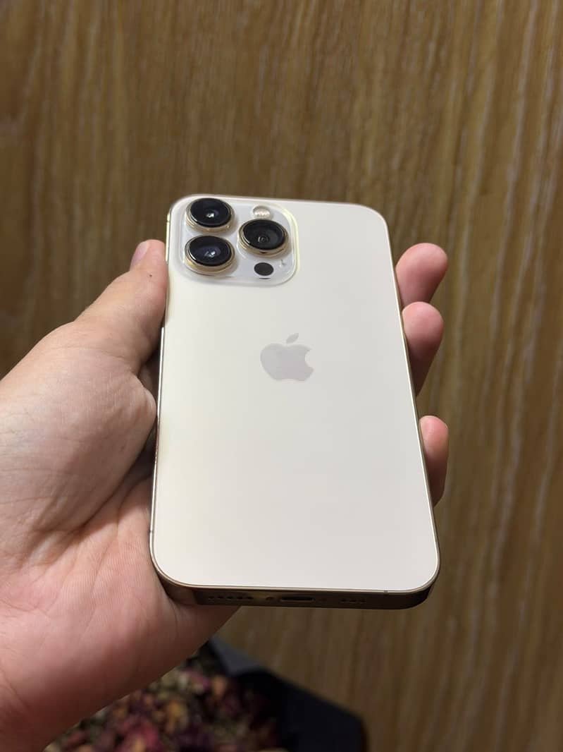 Apple iPhone 13 Pro 3