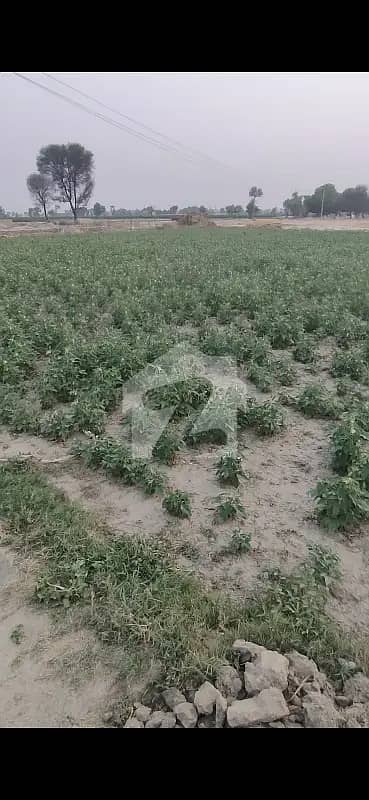 40 marla agriculture land in mian channu 128
