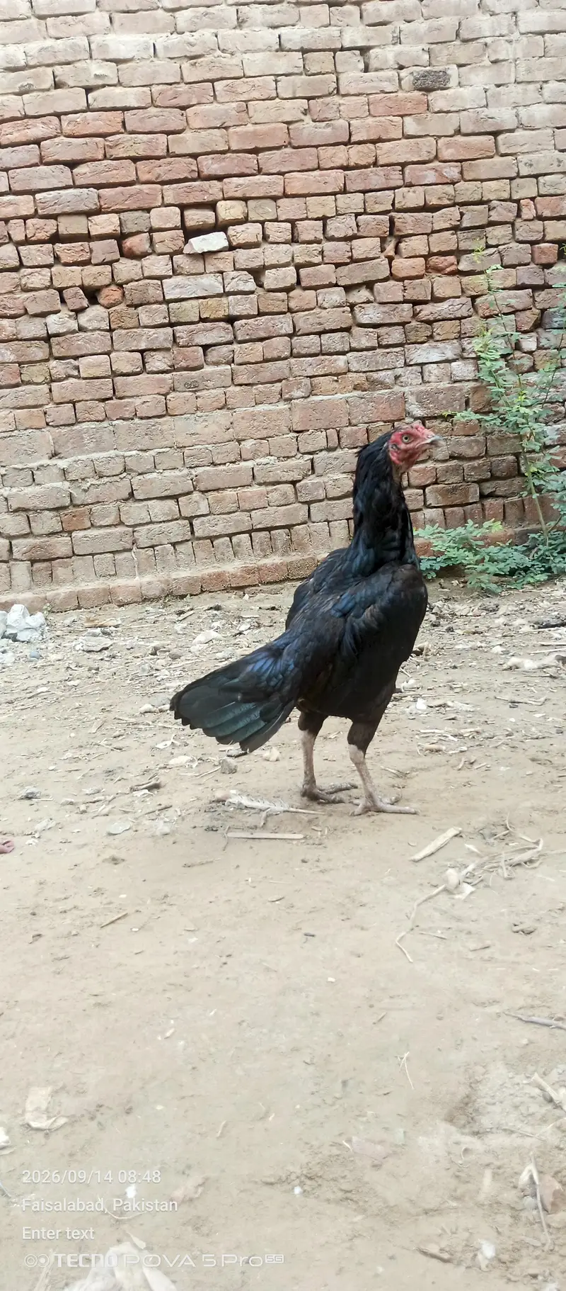 fatenKhan — photo 3
