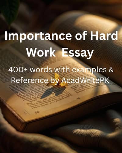 importance of Hard Work essay