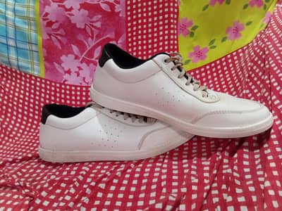 Branded Shoes