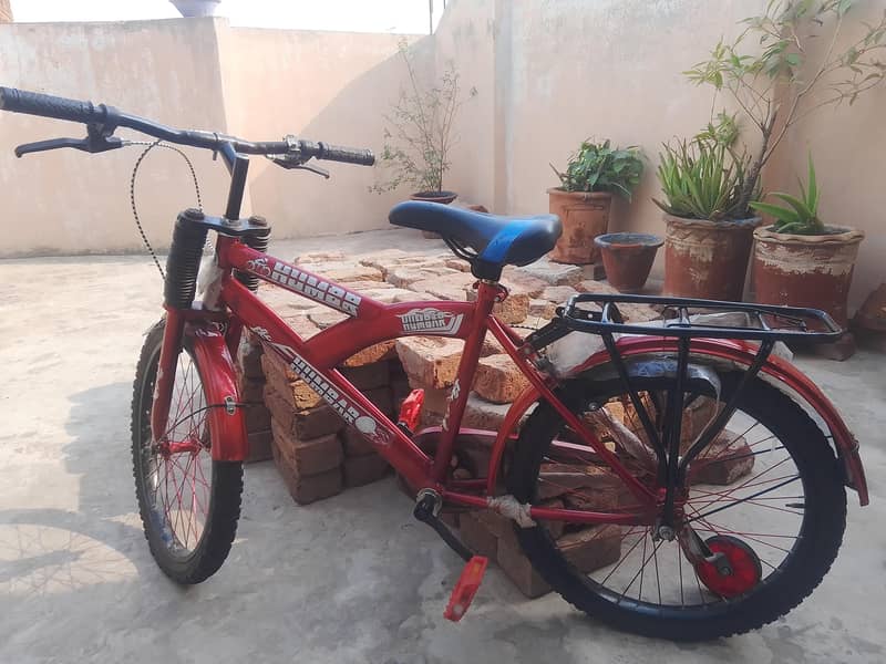 bicycles 12
