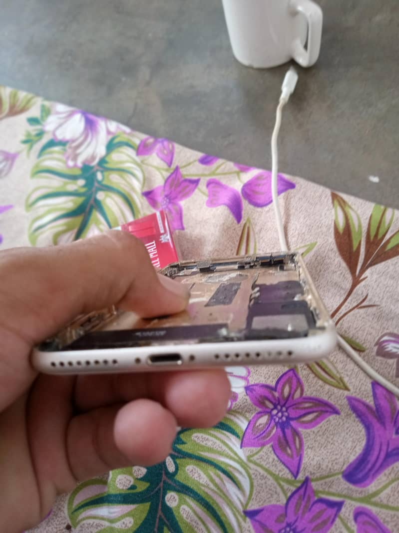 iphone original panel and back 2