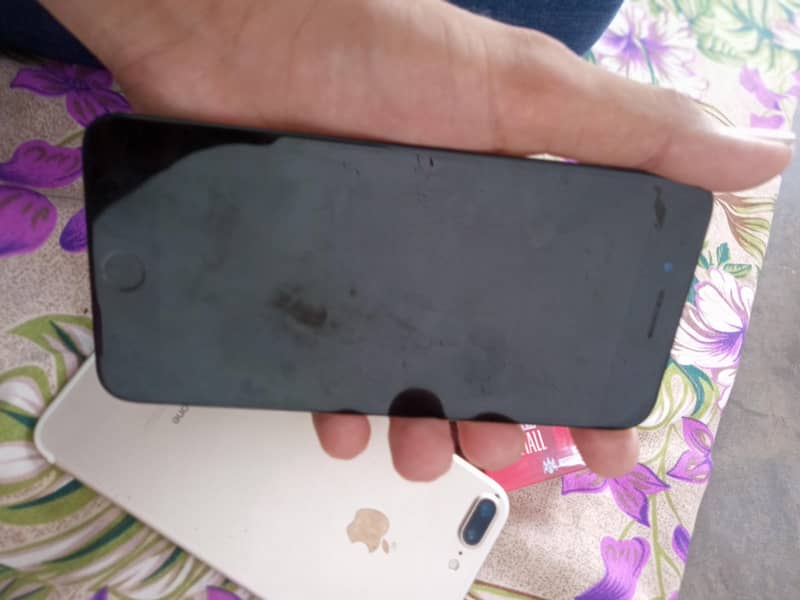 iphone original panel and back 3