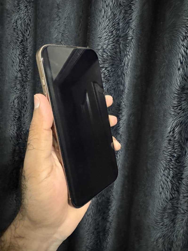 Apple iPhone 16 Pro Max 1