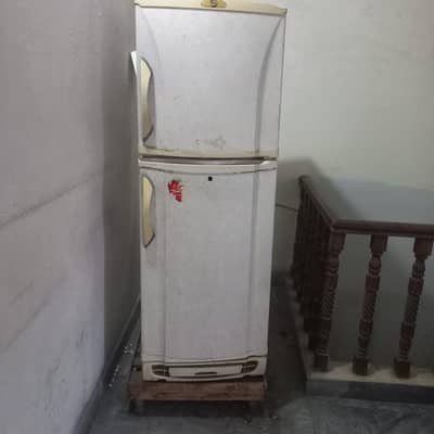 Fridge medium size PEL