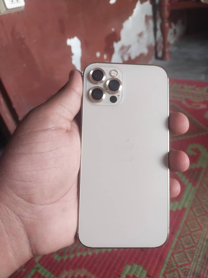 Apple iPhone 12 Pro 12