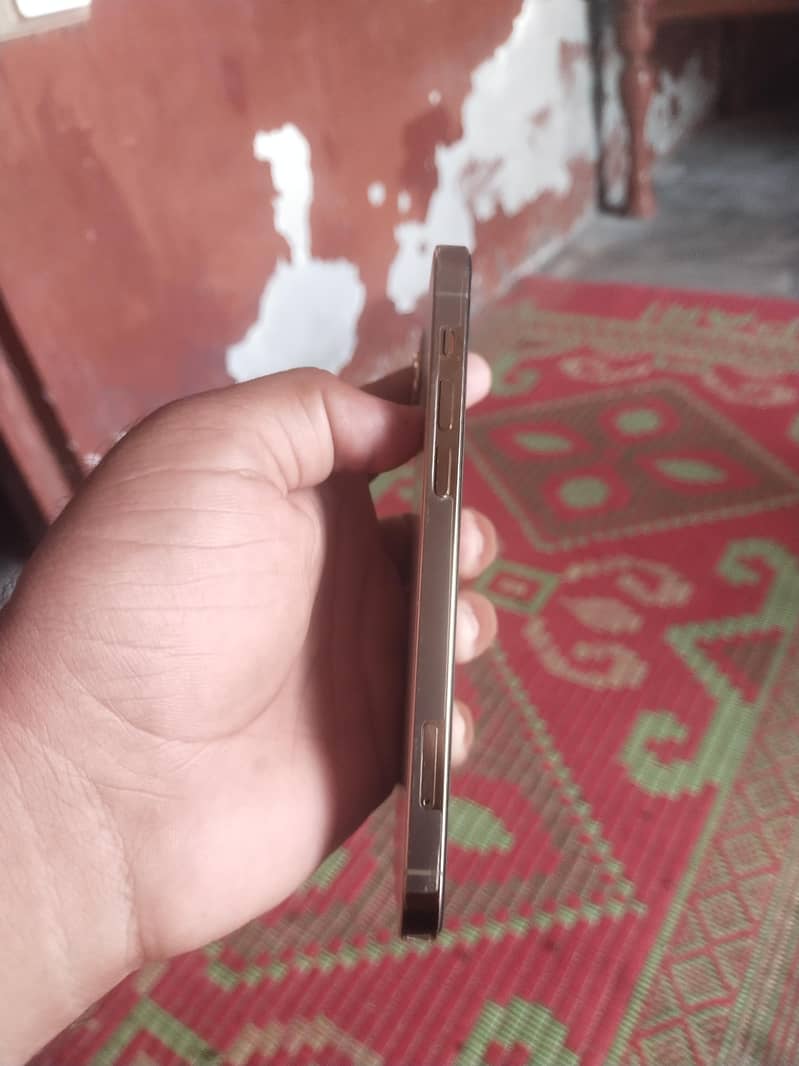 Apple iPhone 12 Pro 13