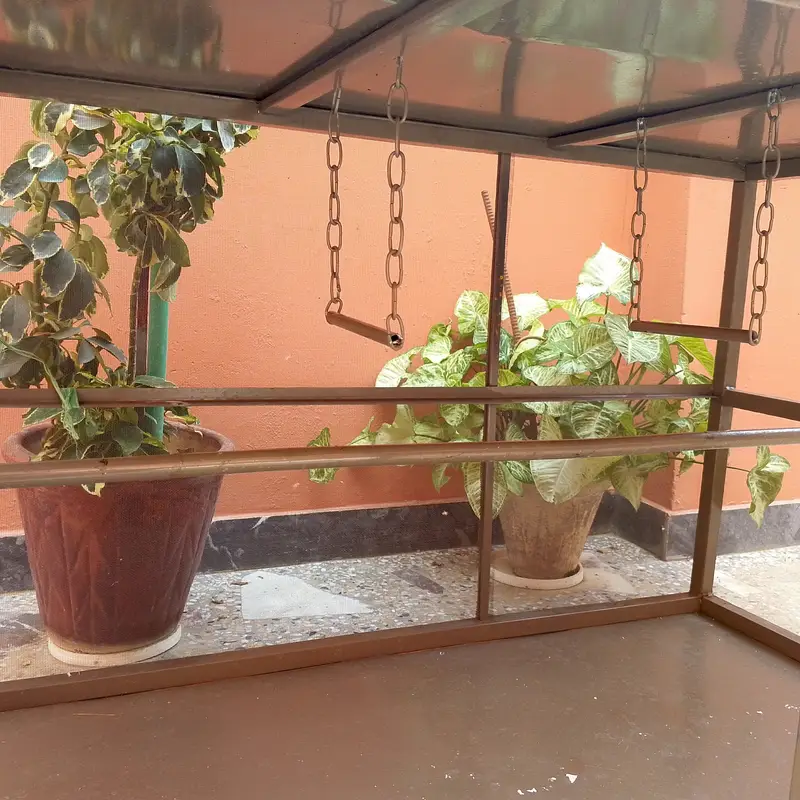 Large Bird / Parrot Cage for Sale – Excellent Condition — photo 3