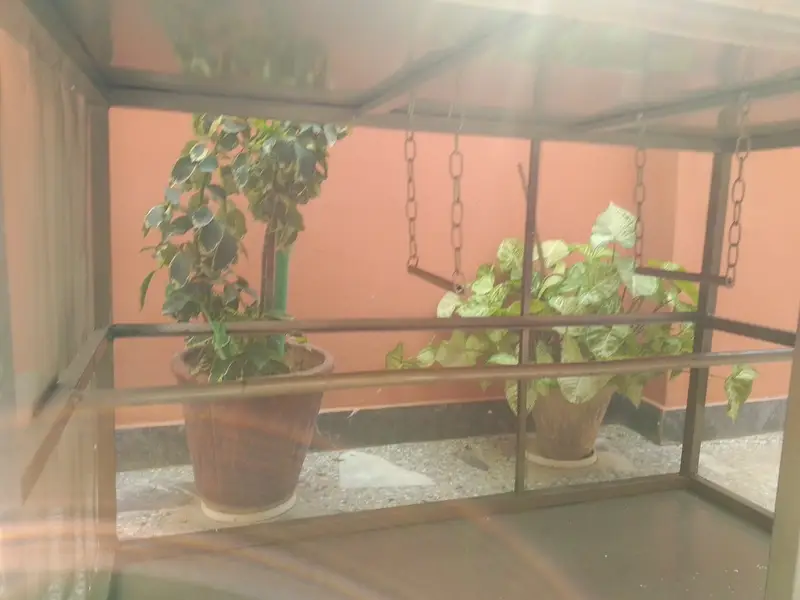 Large Bird / Parrot Cage for Sale – Excellent Condition — photo 4