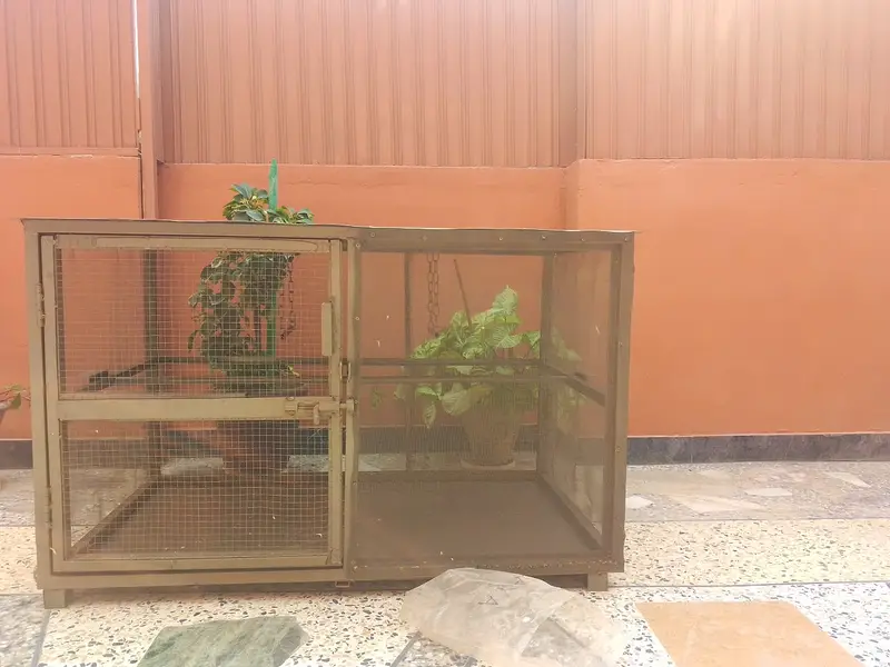 Large Bird / Parrot Cage for Sale – Excellent Condition — photo 5