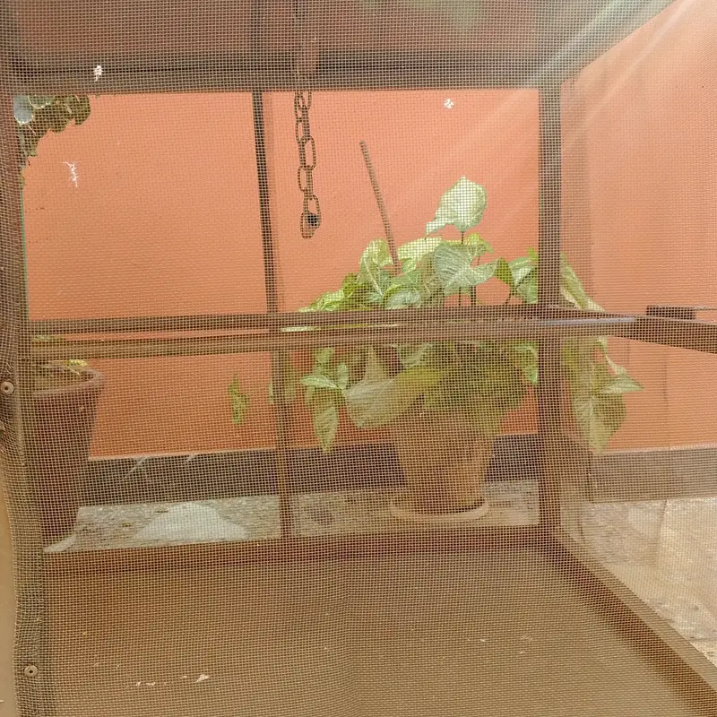 Large Bird / Parrot Cage for Sale – Excellent Condition — photo 6