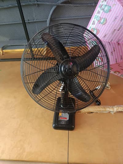 ROYAL FAN for Sale