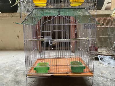 Cage for parrot
