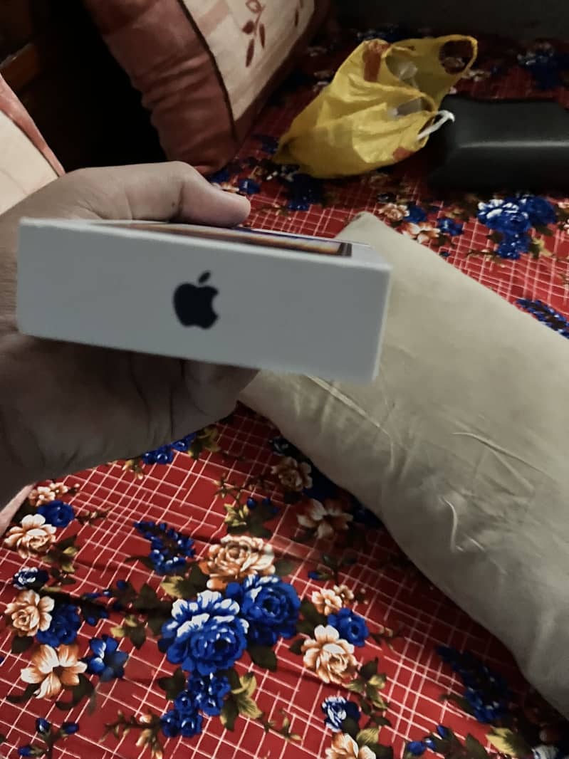 Apple iPhone SE 6